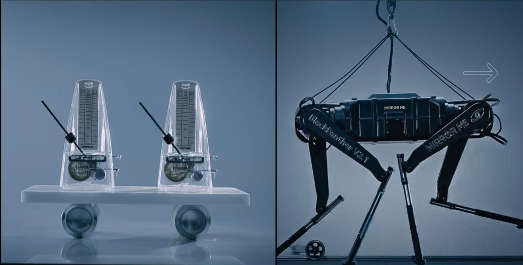 10米/秒!中国造出"世界最快四足机器人",黑豹2.0刷新世界纪录!(图4) 10米/秒!中国造出"世界最快四足机器人",黑豹2.0刷新世界纪录!(图4)