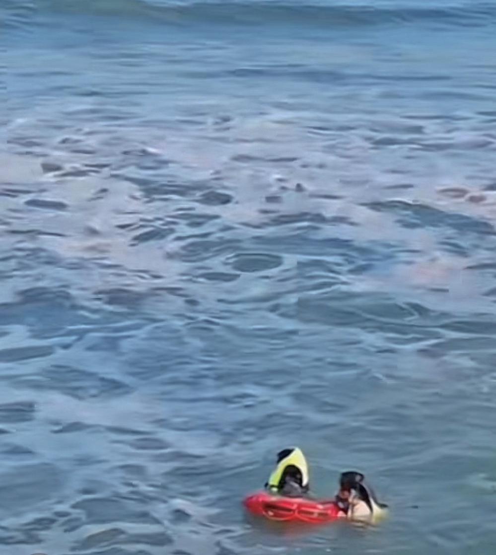 海南万宁:机器人和冲浪教练联手救起落水者(图2) 海南万宁:机器人和冲浪教练联手救起落水者(图2)