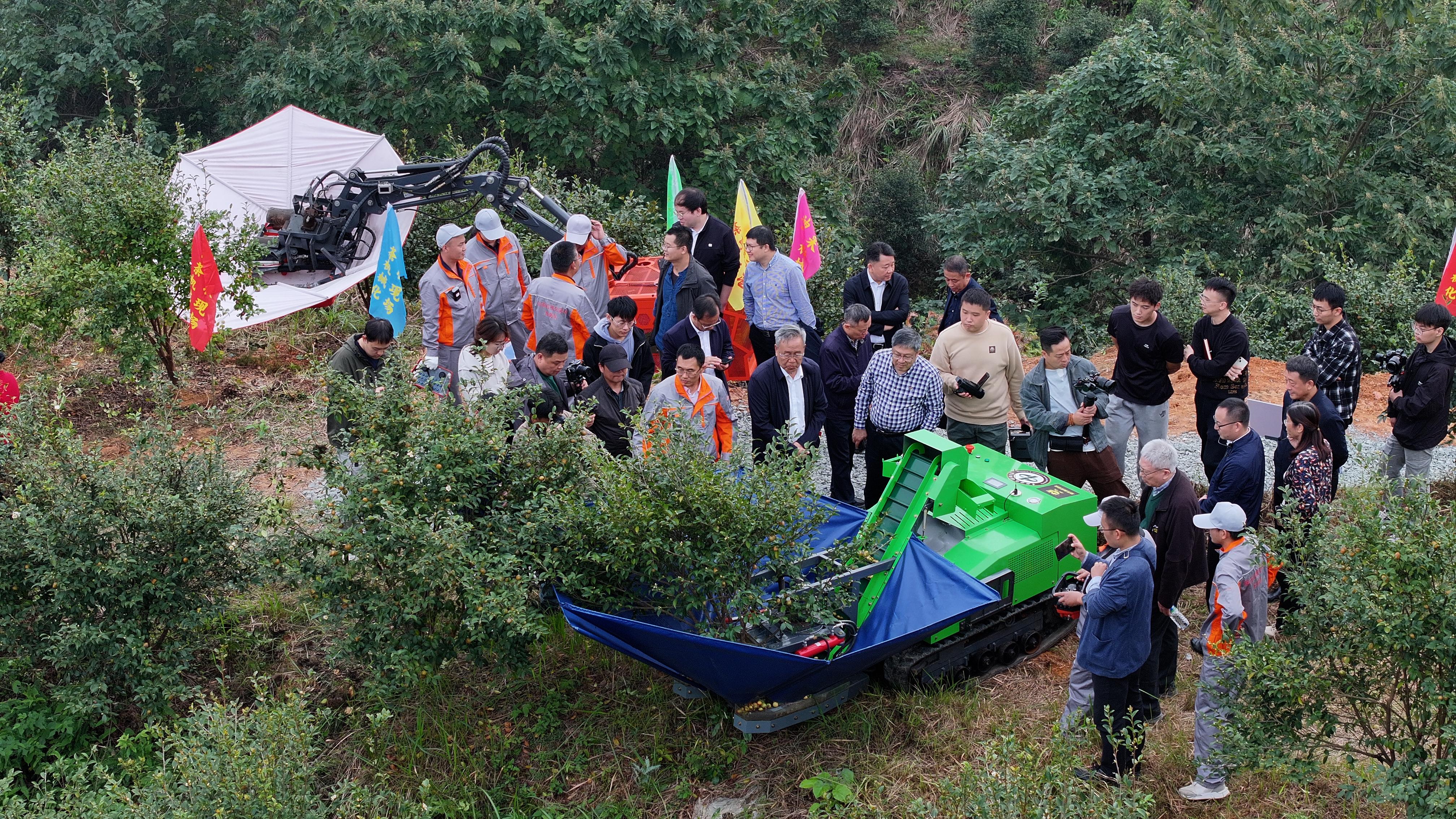 油茶等木本油料轻简栽培和高效采收装备取得重大突破(图2)