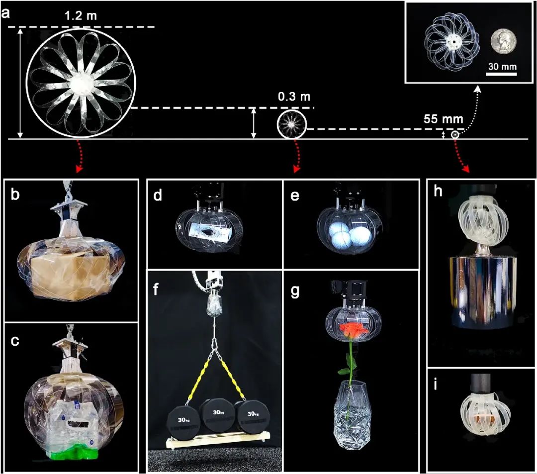 活久见 130克软质抓手是如何做到抓举100kg重物的？(图6)