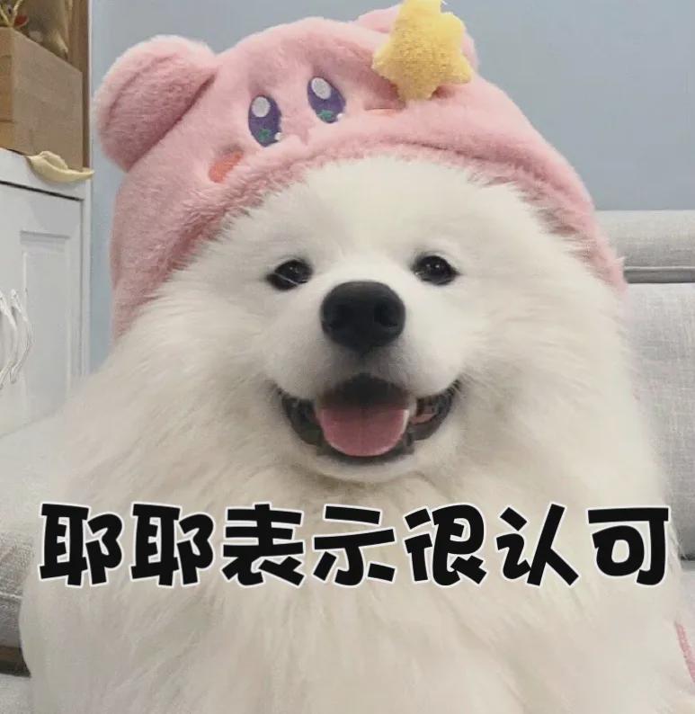 “张雪机车”式突围，正在具身智能赛道上演(图5)