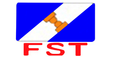 南京菲斯特焊接科技有限公司