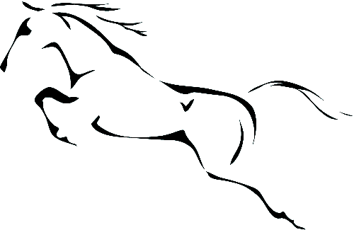 上海青驹科技有限公司
