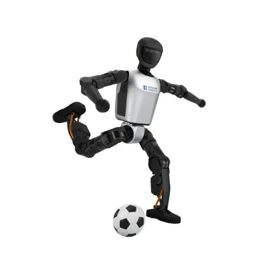BOOSTER T1 | Humanoid Robot | 23-41 DOF