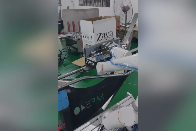 Fairino FR 5 Automated Carton Machine for the Beverage Industry