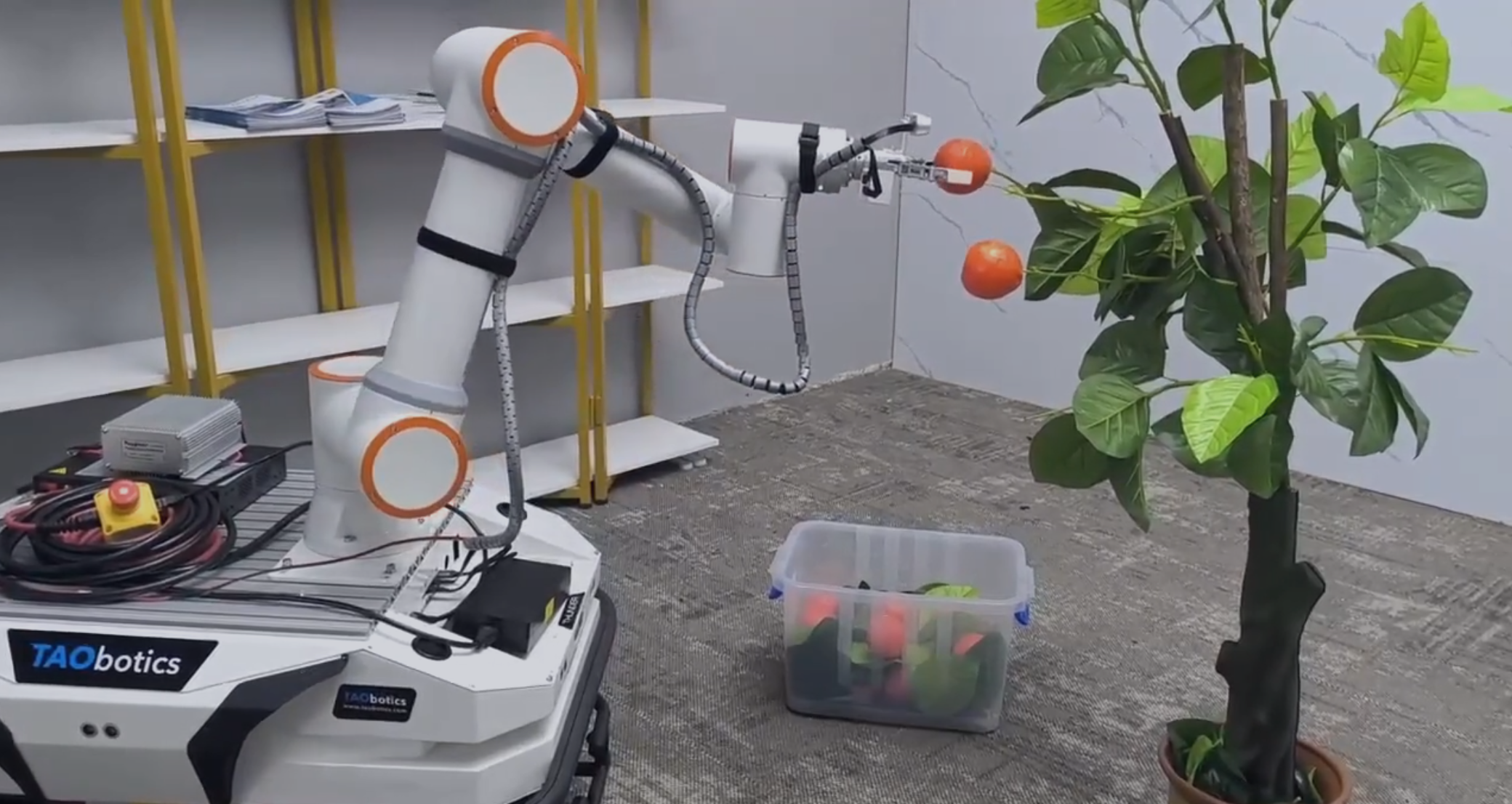 Fruit Picking Demonstration with Fairino FR3