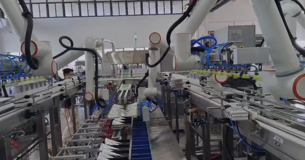 Nestlé Ice Cream Packaging with Fairino FR10 robots