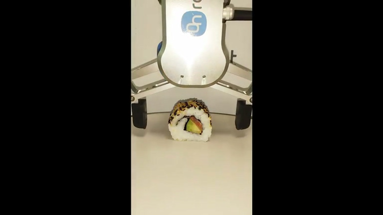 寿司分拣和摆放_Onrobot