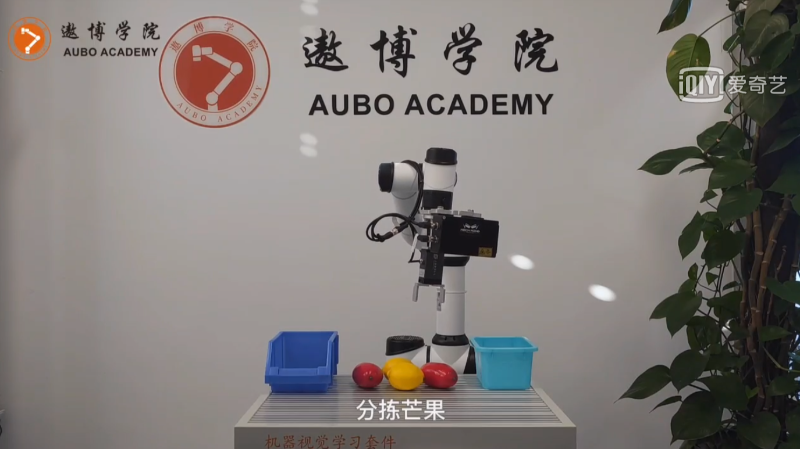 食品饮料_基于3D视觉的水果分拣_遨博机器人