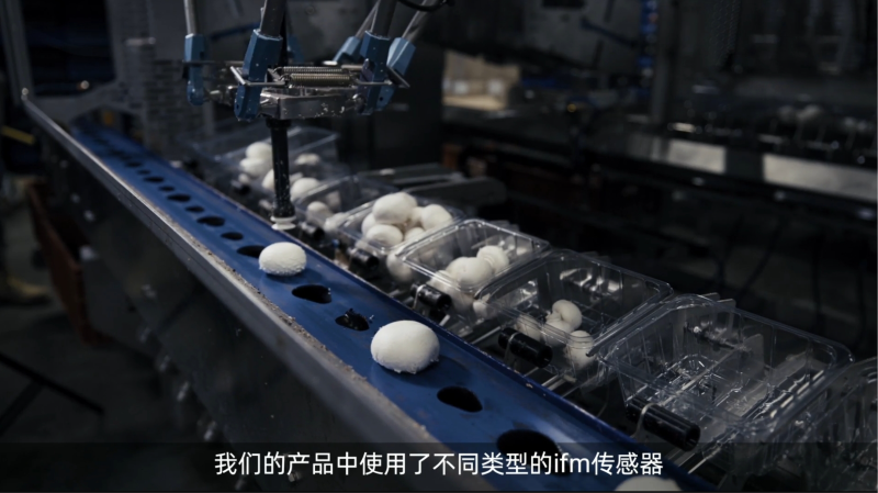 易福门ifm携手TLT Automation，实现蘑菇自动化种植！