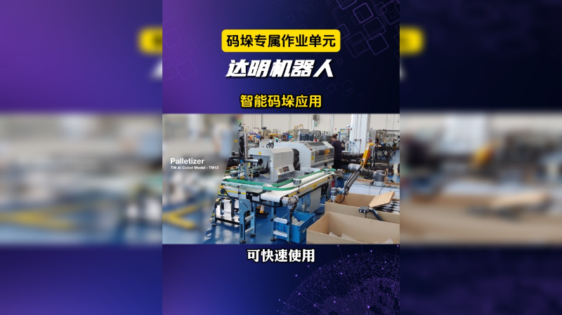 智能码垛应用-TM达明机器人