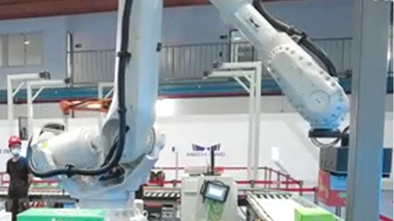 3D视觉引导单SKU纸箱多拆+物流行业