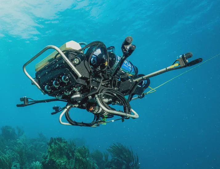 《Science Robotics》封面重磅！水下机器人CUREE靠“听”和“看”自主锁定海底生物集群